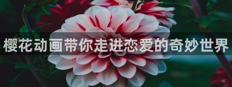 星辰影院高清免费观看电视剧大全