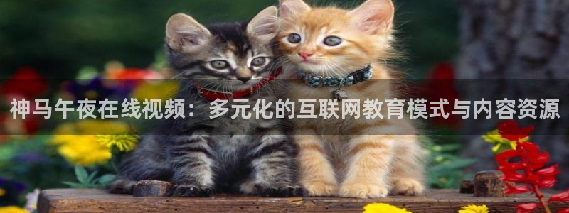 星辰影院免费版下载