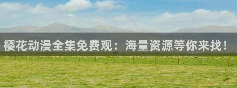 星空视频免费观看电视剧电影大全