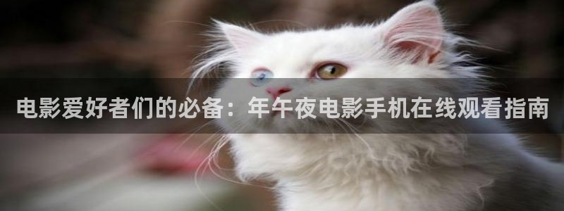 星空传媒影院免费电视剧