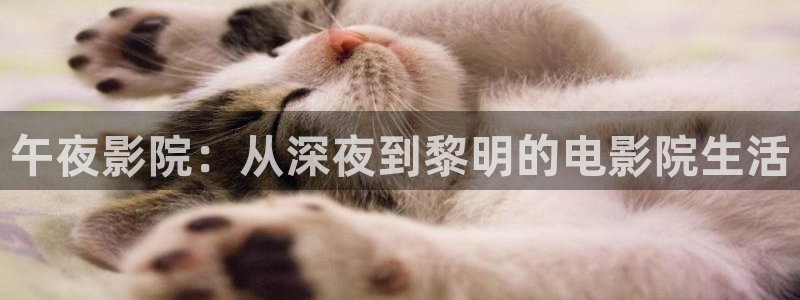 星辰影院电视剧免费观看最新