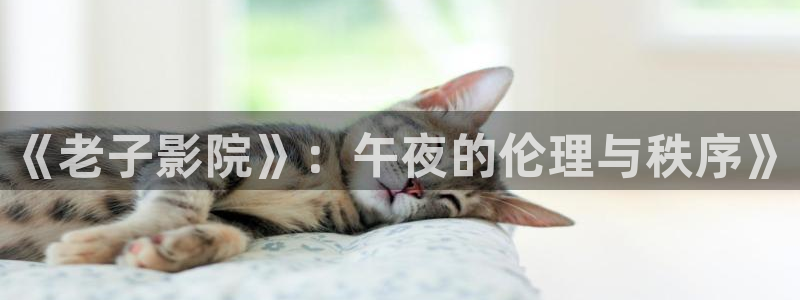 星辰影院播放电影大全免费