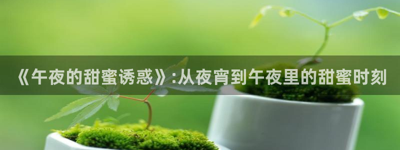 窝窝星空电影网