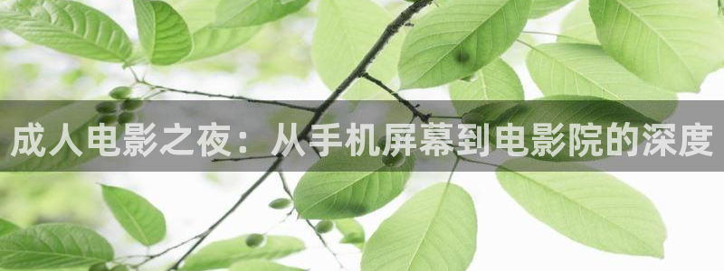 星辰影院在线观看