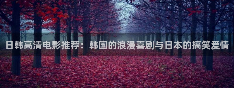 星空影视最新版本