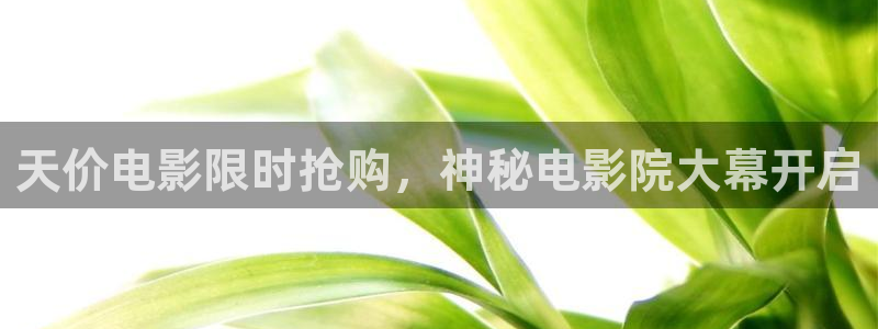 星空无痕mv免费观看在线高清