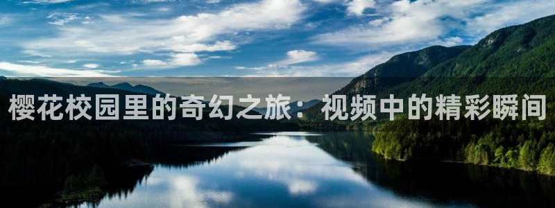 星空影视最新电视剧