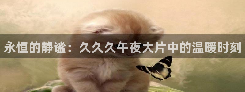 星空免费观看视频