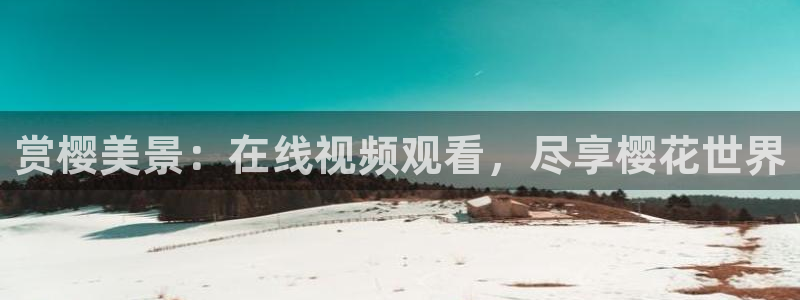 星空国际影院
