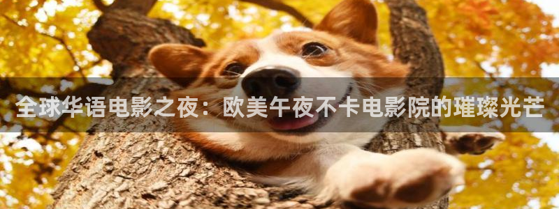 星空影视免费观看电影大全在线观看