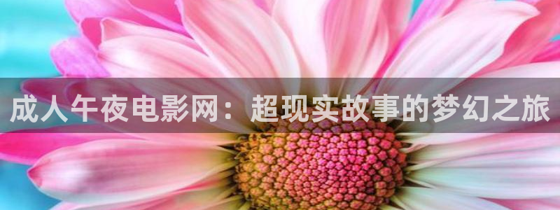 星空影视大全免费播放电视剧