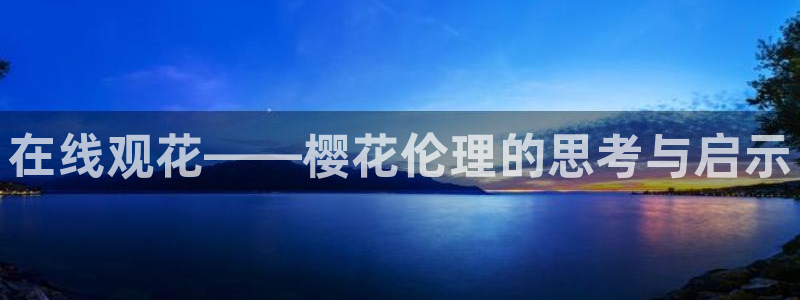 星空高清在线观看免费