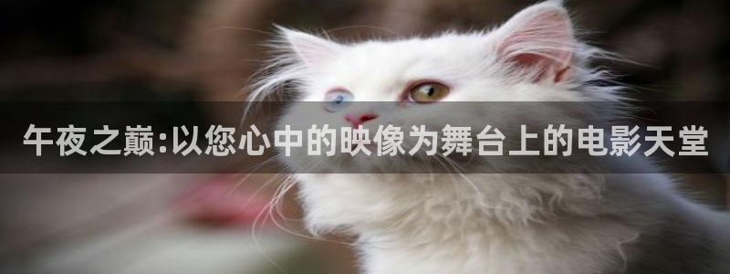 星辰影院大全在线观看免费观看电视剧