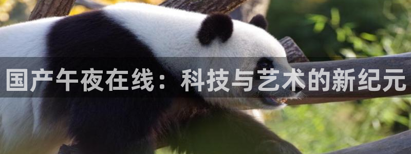 大庆中影星空影城影讯今日