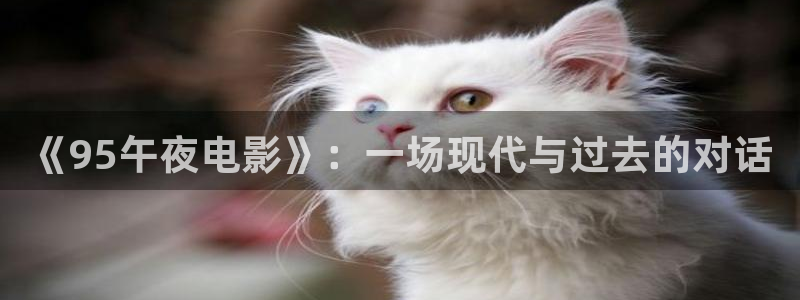 星辰影院在线观看完整版免费高清