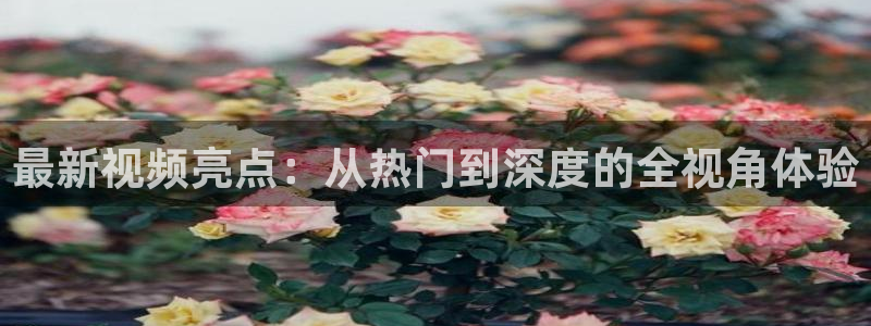 星辰影院电视免费看你比星光