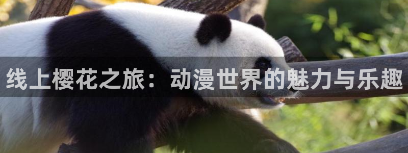 星空传媒完整免费观看视频