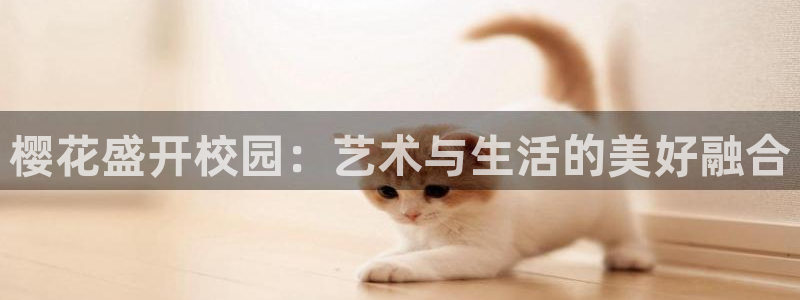 星辰影院电视剧在线观看大全