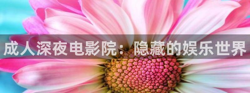 星空动漫网