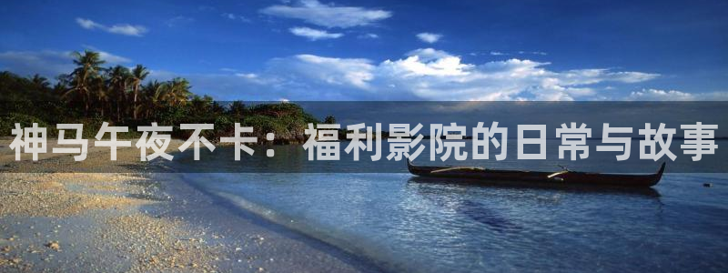 星空视频在线观看免费观看