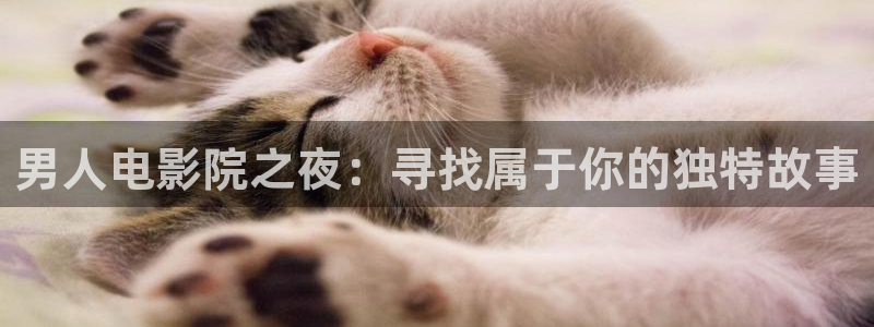 宿州星辰影院影讯