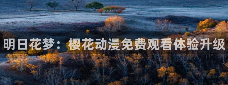 星空影视大全电视剧免费播放在线