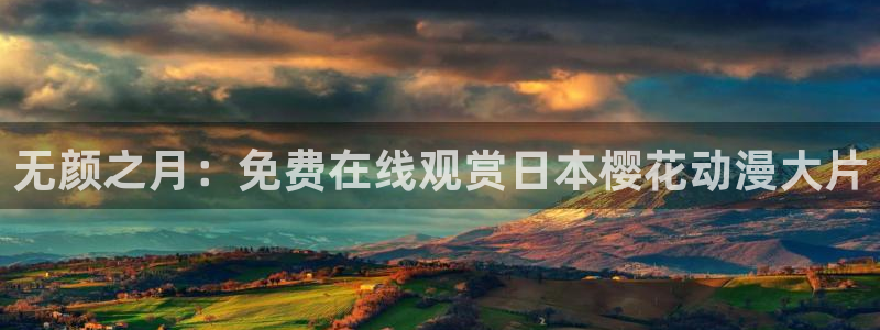 关于星空的画