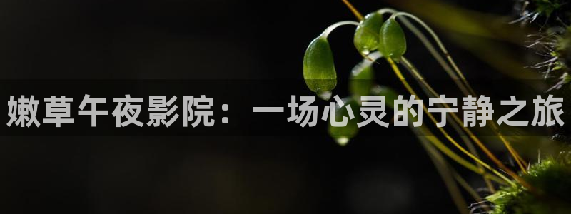 星空影视观看