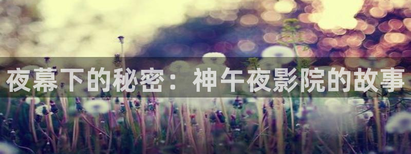 星空的歌曲