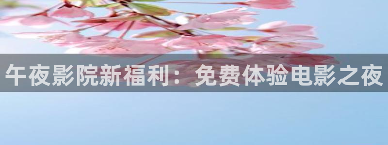 天美传奇星空高清免费