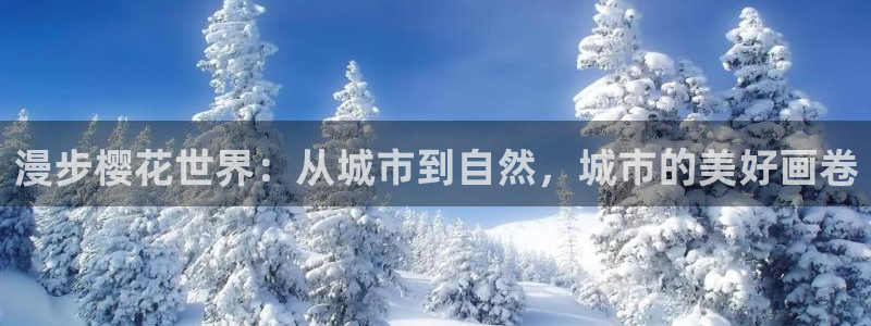 星空影视免费观看