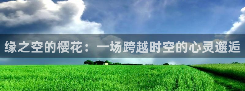 星空影城今天有什么电影