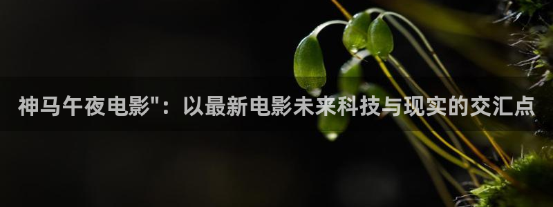 星辰影院视频