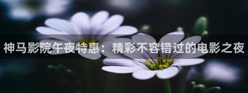 星空电影下载