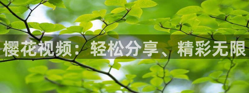 关于星空的画有什么