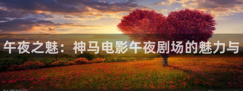 星辰影院免费观看电视剧电影最新合