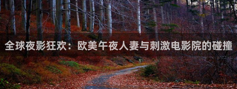 二十不惑星空影视